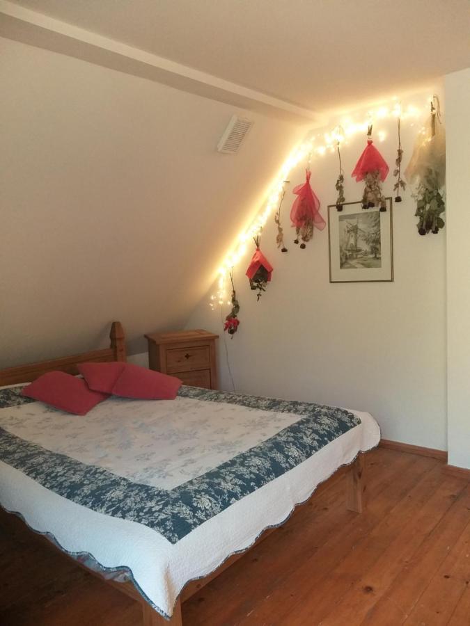 Salamandra Apartment Krempna Luaran gambar