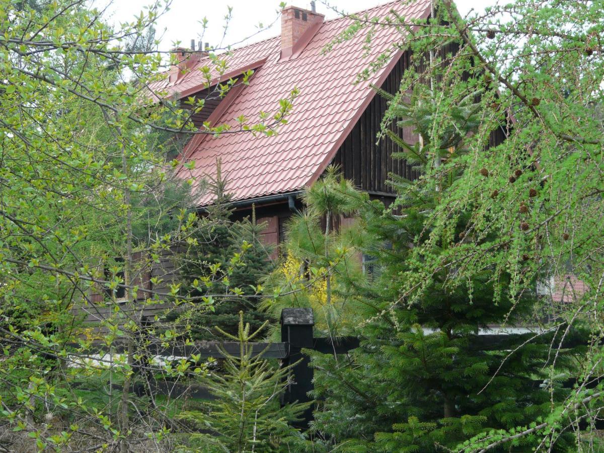 Salamandra Apartment Krempna Luaran gambar