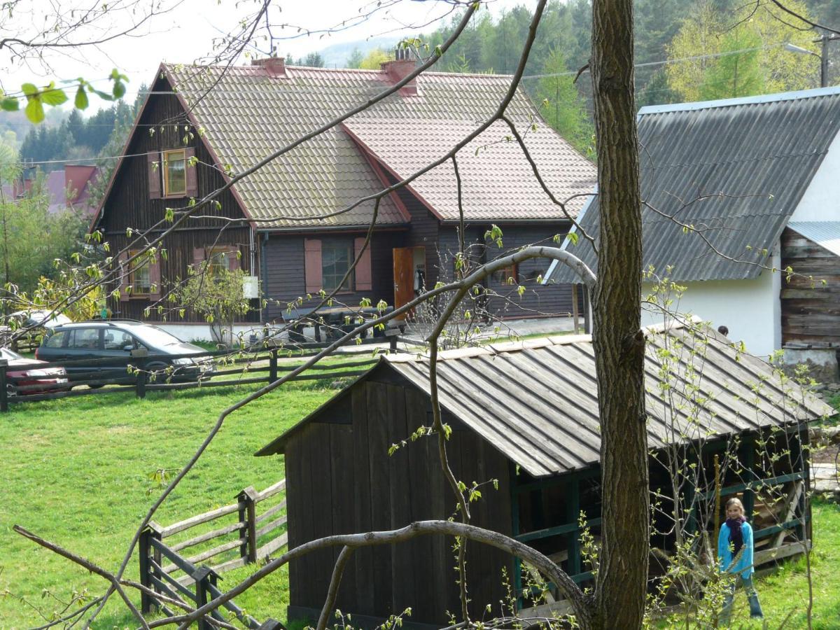 Salamandra Apartment Krempna Luaran gambar